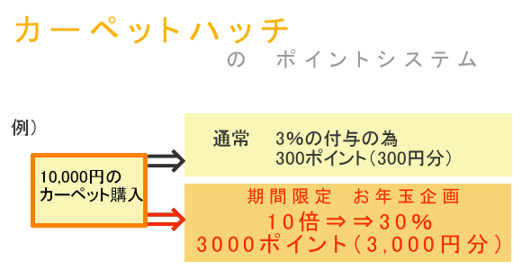 カーペットハッチのお年玉ポイント解説
