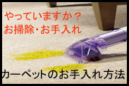 カーペットのお手入れ方法