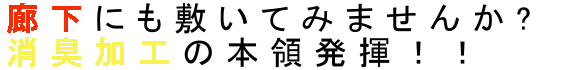 廊下にも敷いてみませんか？消臭加工の本領発揮！