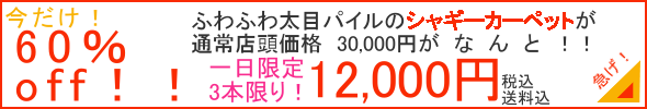 激安シャギーラグの紹介